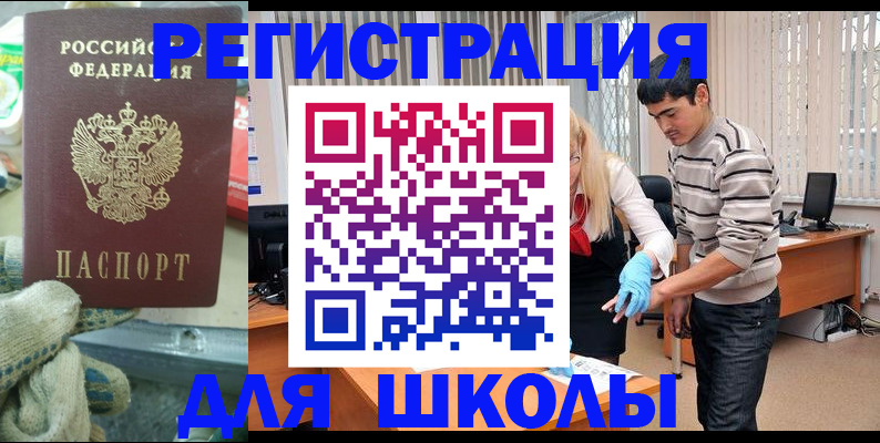 временная регистрация поиск в Невеле